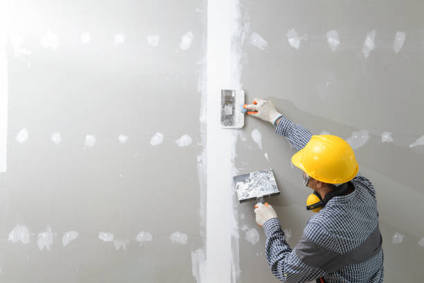 Best Drywall Installation  in Jamestown, NC